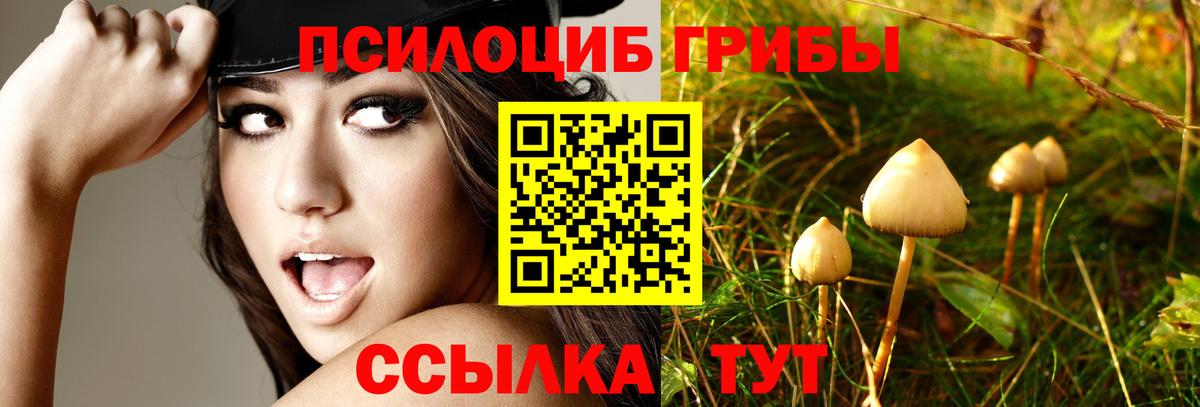 Симферополь  Псилоцибиновые грибы Cubensis  Галлюциногенные грибы Magic Shrooms  Вход с VPN 